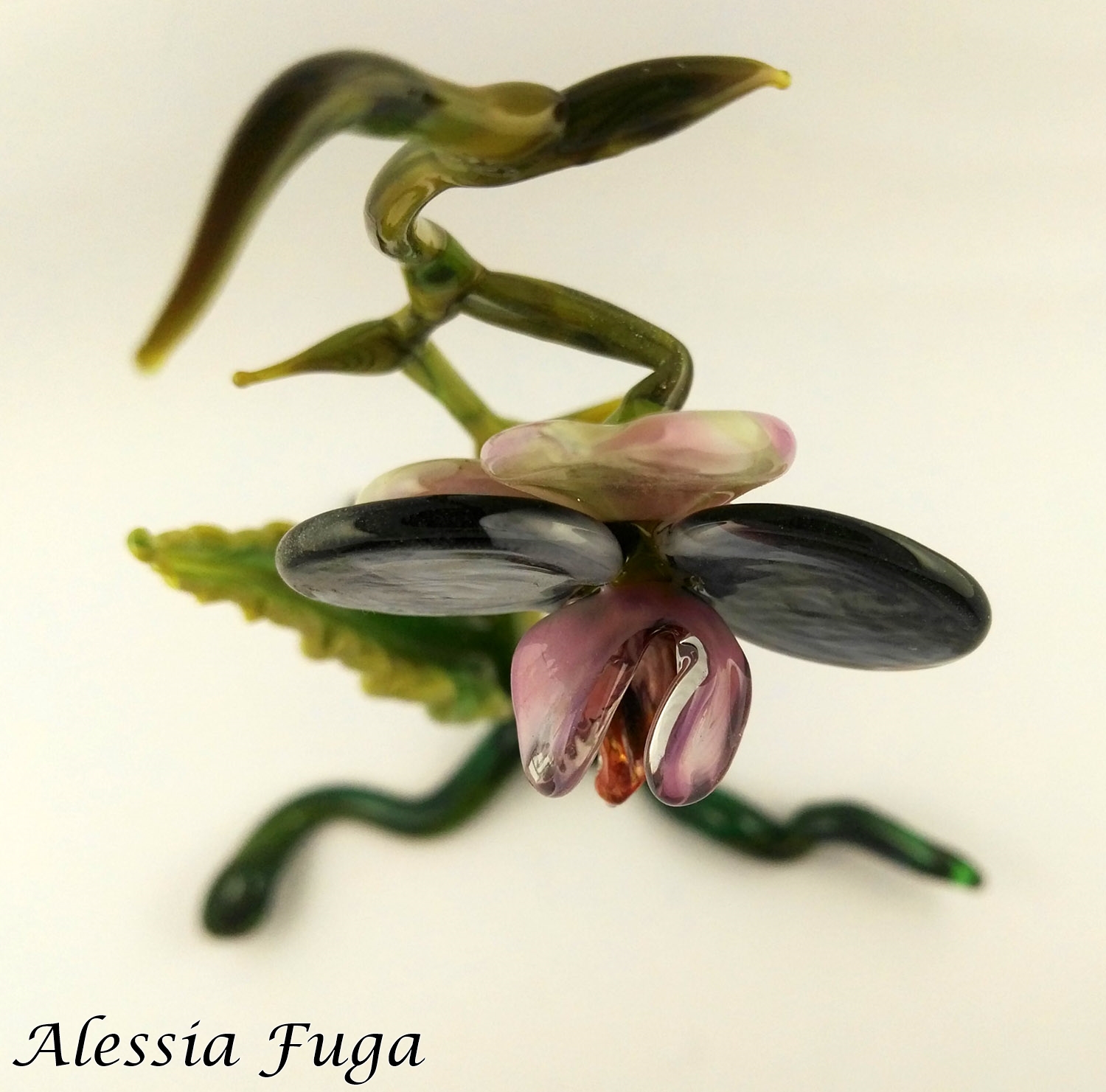 Orchid sculpture- top view - Alessia Fuga