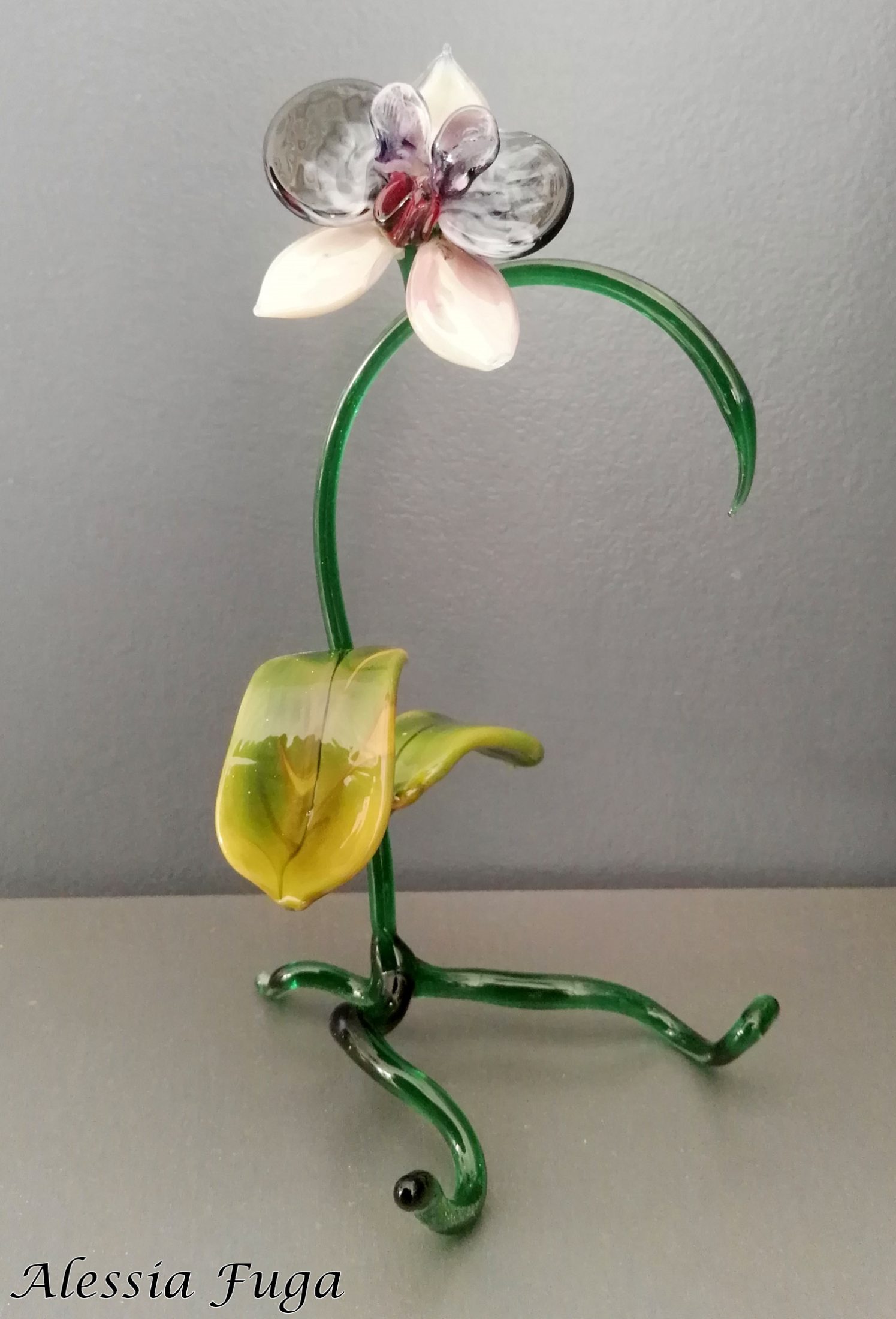 Orchid sculpture _ Alessia Fuga