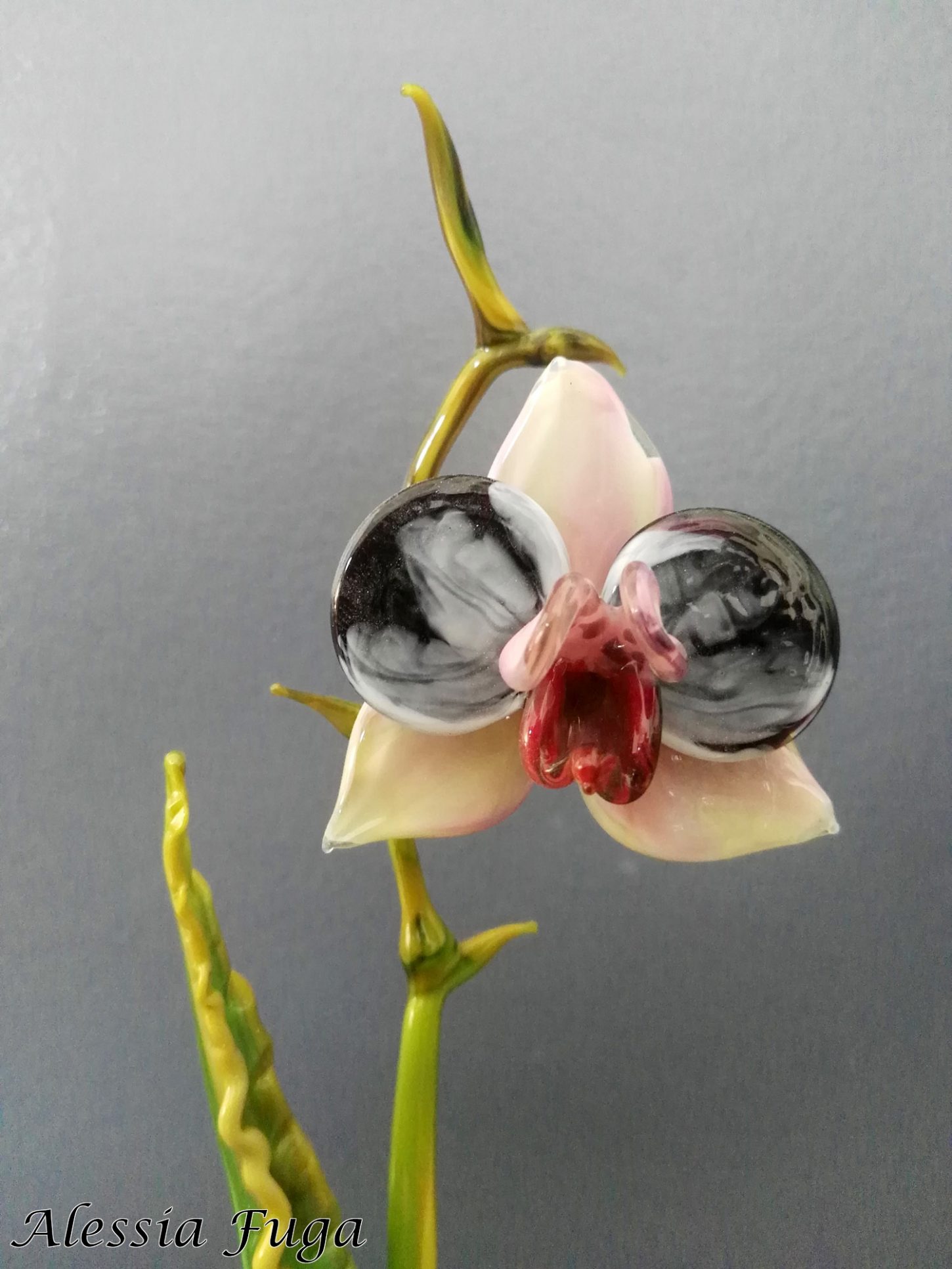 Orchid sculpture- close-up - Alessia Fuga