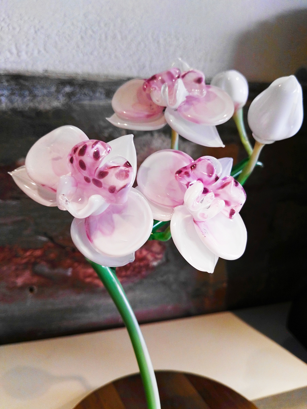 Alessia Fuga - Orchidea esposta in occasione della seconda edizione di "Col Vero.. Se Incontra"